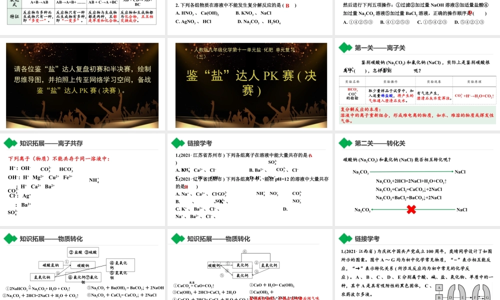 2024成都中考化学试题研究大单元复习-鉴“盐”达人PK赛 课件.pptx