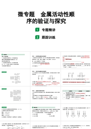 2024福建中考化学二轮复习微专题 金属活动性顺序的验证与探究（课件）.pptx