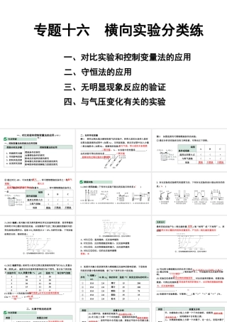 2024福建中考化学二轮中考题型研究 专题十六 横向实验分类练（课件）.pptx