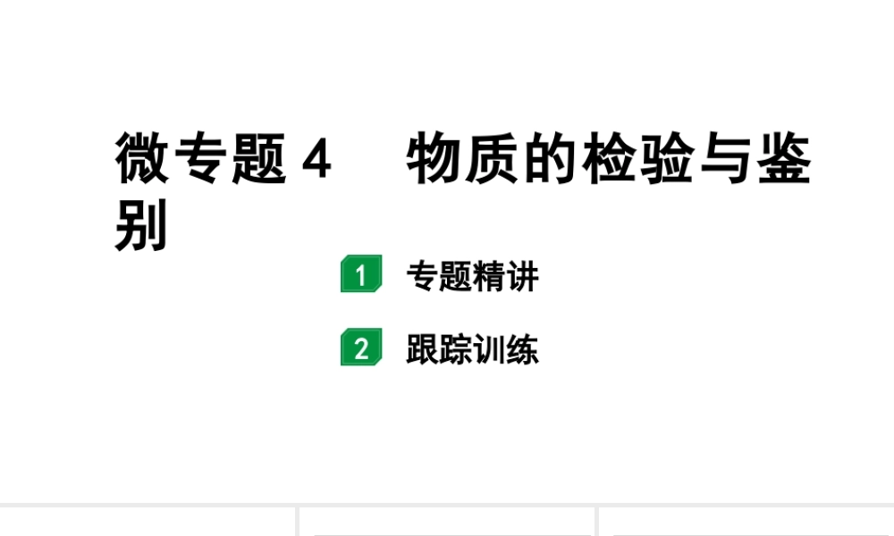 2024福建中考化学一轮复习 微专题4 物质的检验与鉴别(课件).pptx
