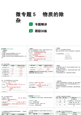 2024福建中考化学一轮复习 微专题5  物质的除杂（课件）.pptx