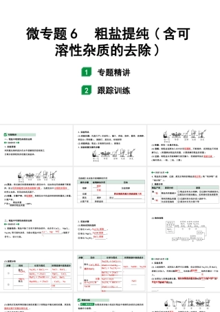 2024福建中考化学一轮复习 微专题6 粗盐提纯(含可溶性杂质的去除)（课件）.pptx