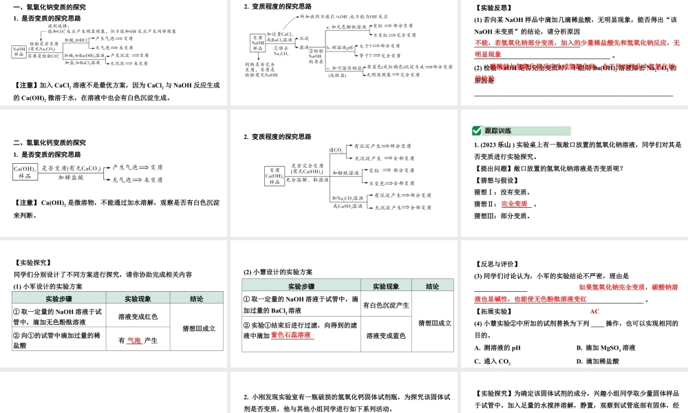 2024福建中考化学一轮复习 微专题8 碱变质的探究（课件）.pptx