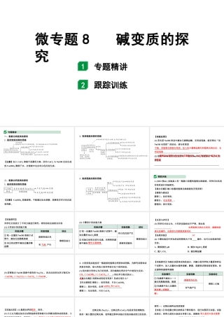 2024福建中考化学一轮复习 微专题8 碱变质的探究（课件）.pptx