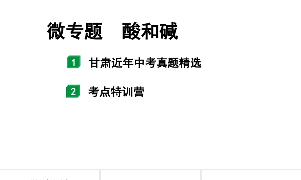 2024甘肃中考化学一轮复习之中考考点研究 微专题 酸和碱(课件).pptx