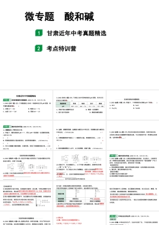 2024甘肃中考化学一轮复习之中考考点研究 微专题 酸和碱（课件）.pptx