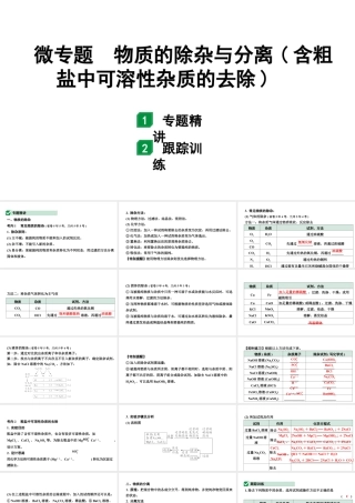 2024甘肃中考化学一轮复习之中考考点研究 微专题 物质的除杂与分离（含粗盐中可溶性杂质的去除）（课件）.pptx
