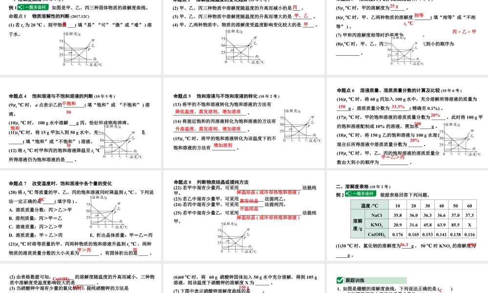 2024海南中考化学二轮重点专题突破 微专题 溶解度曲线及其应用（课件）.ppt