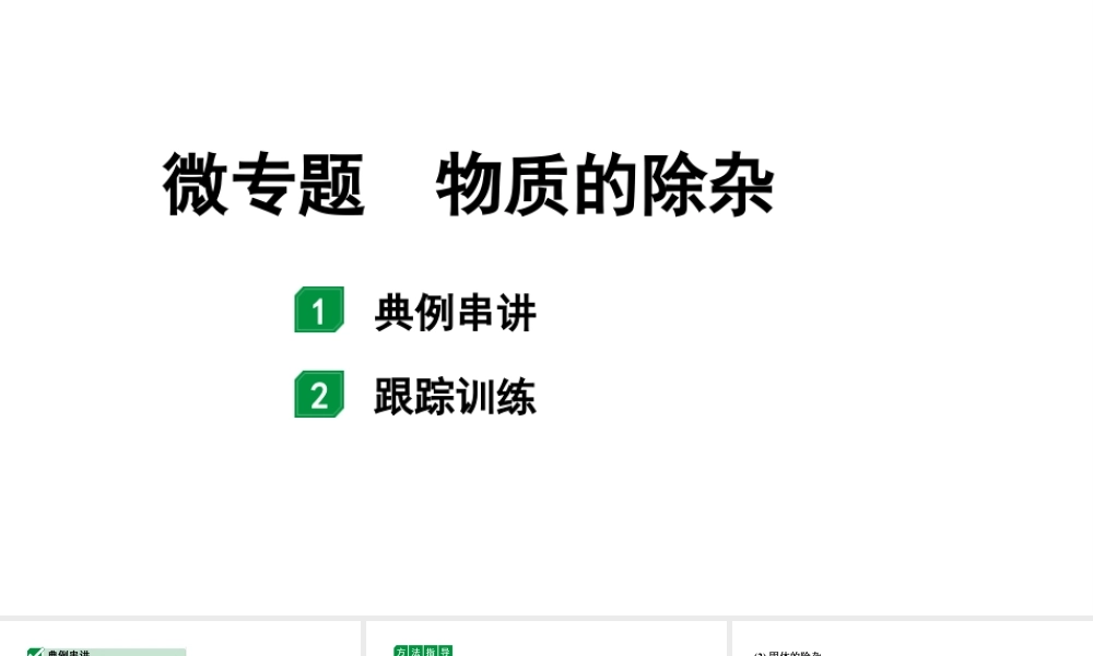 2024海南中考化学二轮重点专题突破 微专题 物质的除杂(课件).ppt