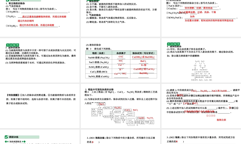 2024海南中考化学二轮重点专题突破 微专题 物质的除杂(课件).ppt