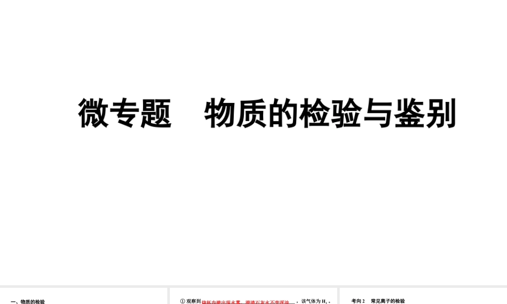 2024海南中考化学二轮重点专题突破 微专题 物质的检验与鉴别(课件).pptx