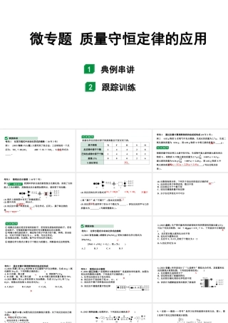 2024海南中考化学二轮重点专题突破 微专题 质量守恒定律的应用（课件）.ppt