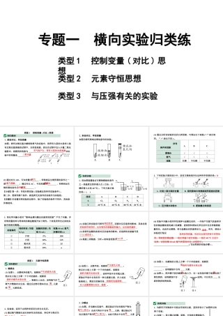 2024海南中考化学二轮重点专题突破 专题一 横向实验归类练（课件）.pptx