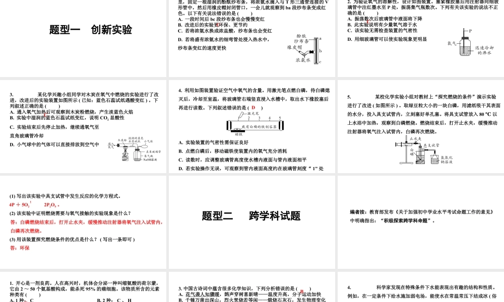 2024海南中考化学三轮冲刺系列 全国视野创新题型推荐(课件).ppt