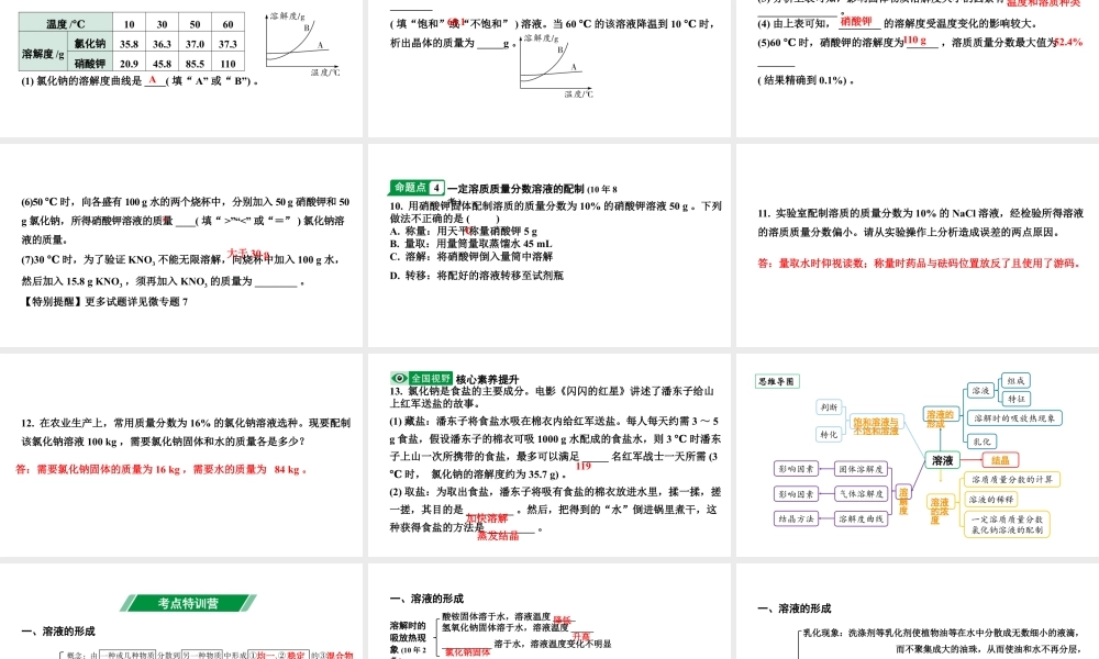 2024海南中考化学一轮复习 中考考点研究 第九单元  溶液（课件）.pptx