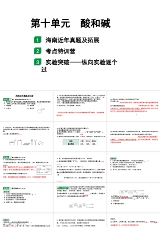 2024海南中考化学一轮复习 中考考点研究 第十单元 酸和碱（课件）.pptx