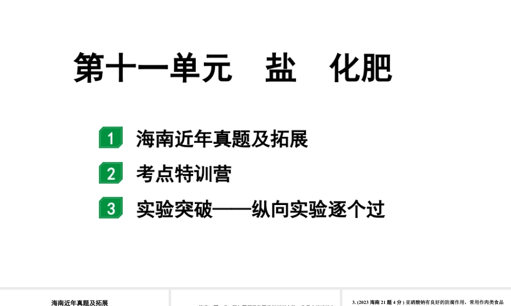 2024海南中考化学一轮复习 中考考点研究 第十一单元 盐 化肥(课件).pptx