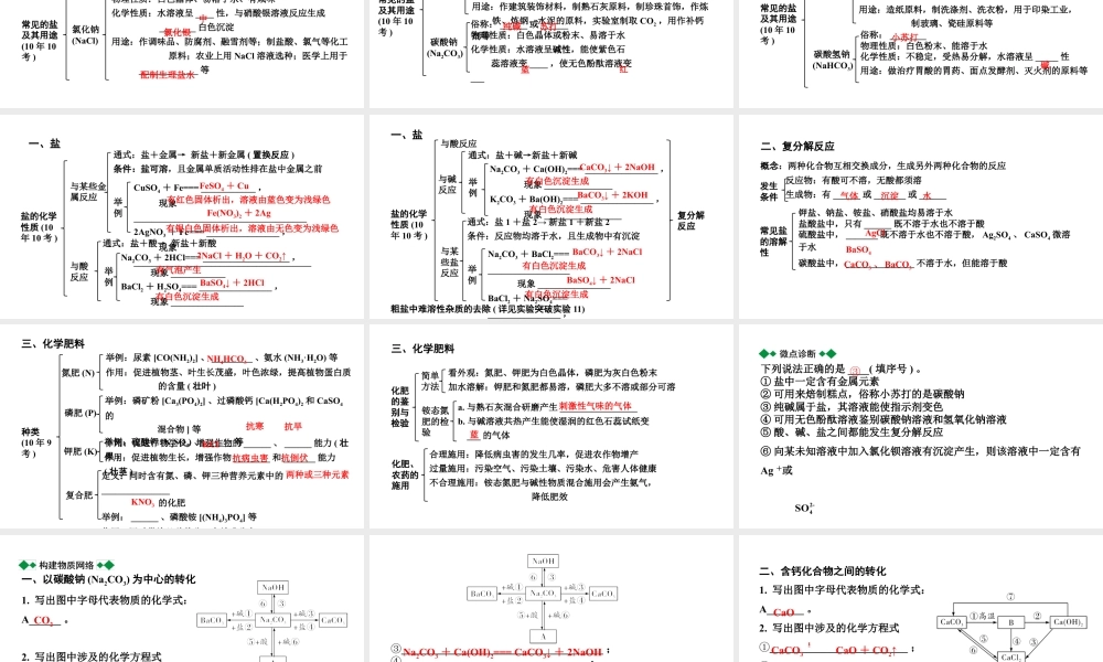2024海南中考化学一轮复习 中考考点研究 第十一单元 盐 化肥(课件).pptx