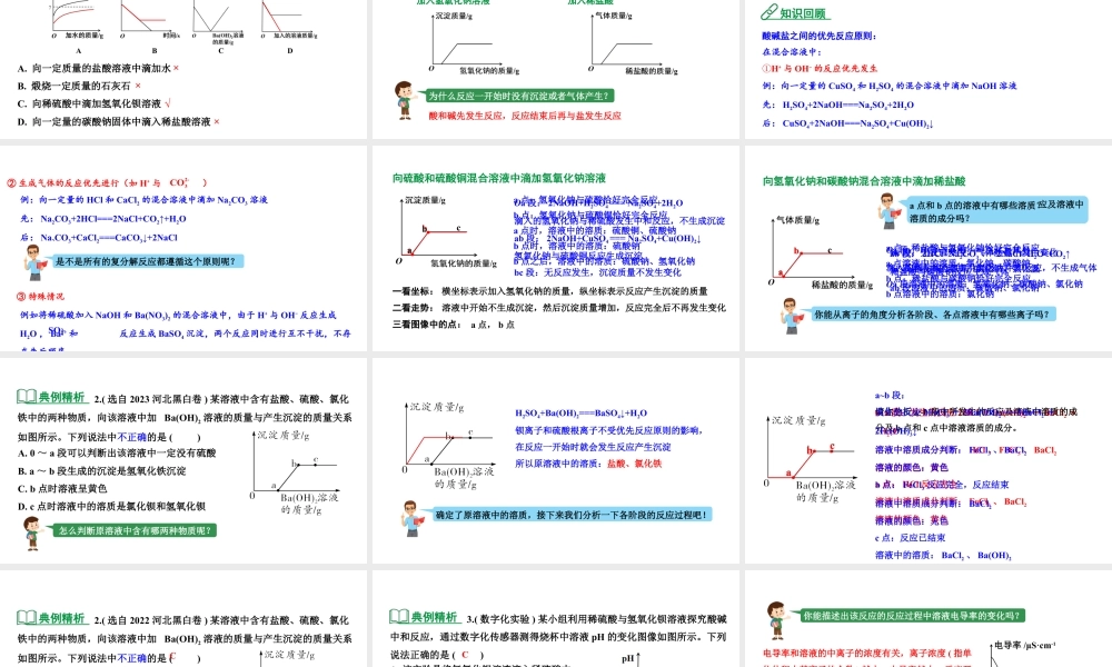2024河北化学中考备考重难专题:酸碱盐间的坐标曲线分析 (课件).pptx