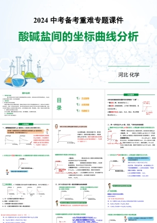 2024河北化学中考备考重难专题：酸碱盐间的坐标曲线分析 （课件）.pptx