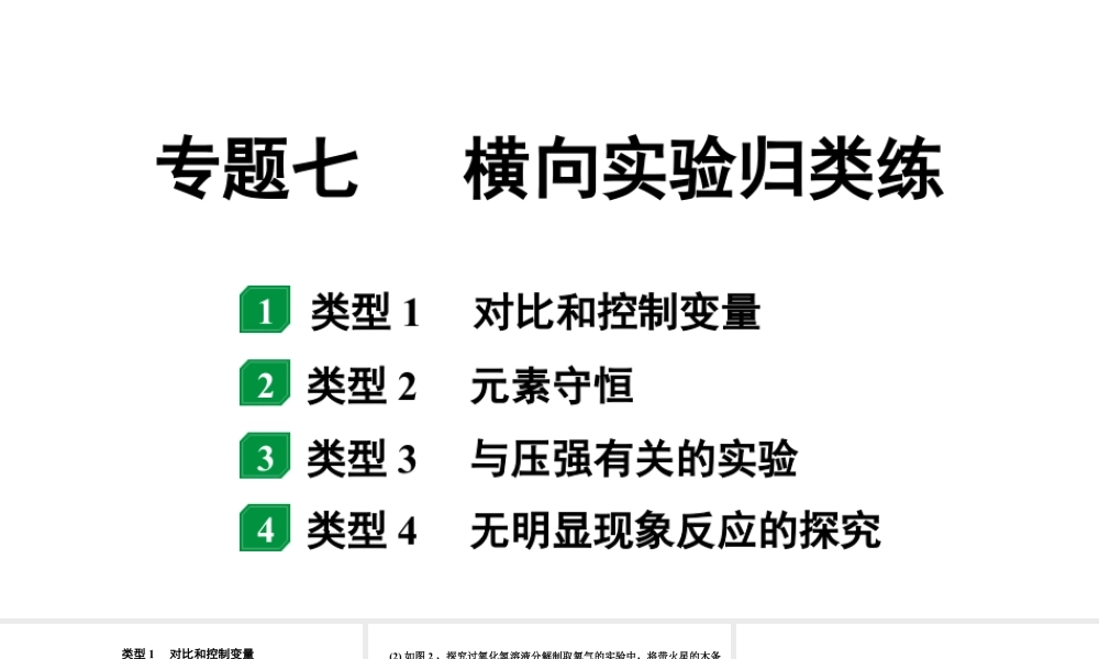 2024河南中考化学二轮重点专题突破 专题七 横向实验归类练(课件).pptx