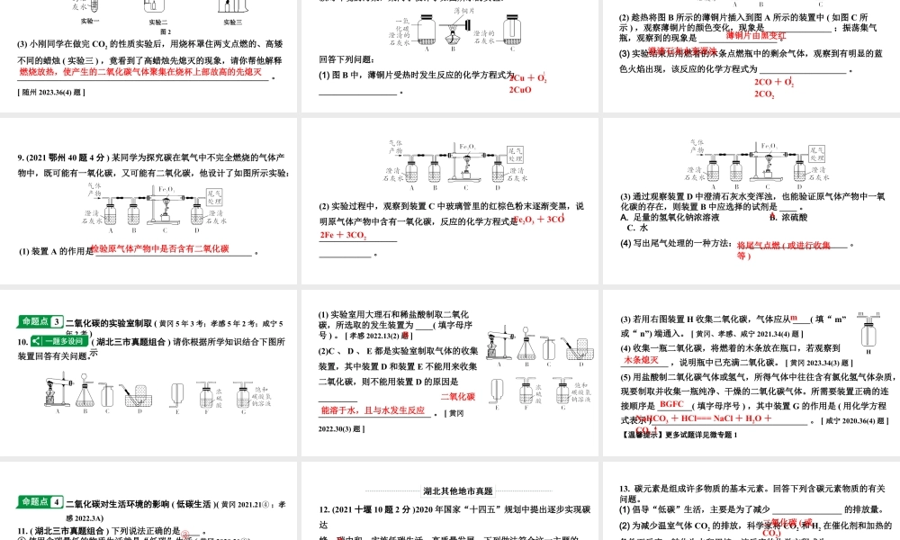 2024湖北中考化学二轮专题复习 主题2 碳和碳的氧化物(课件).pptx