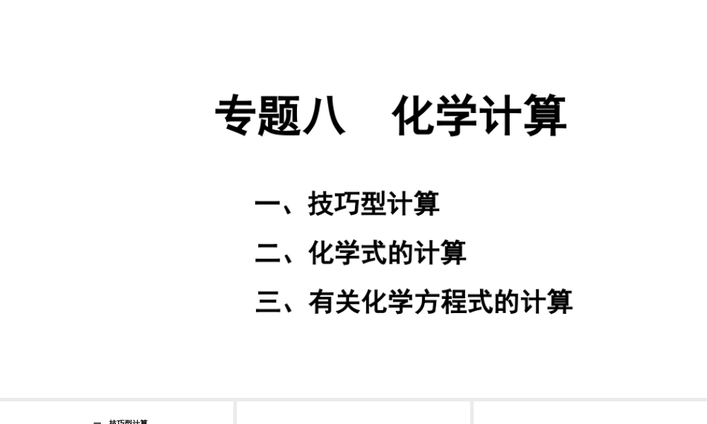 2024湖南中考化学二轮专题复习 专题八 化学计算(课件).pptx