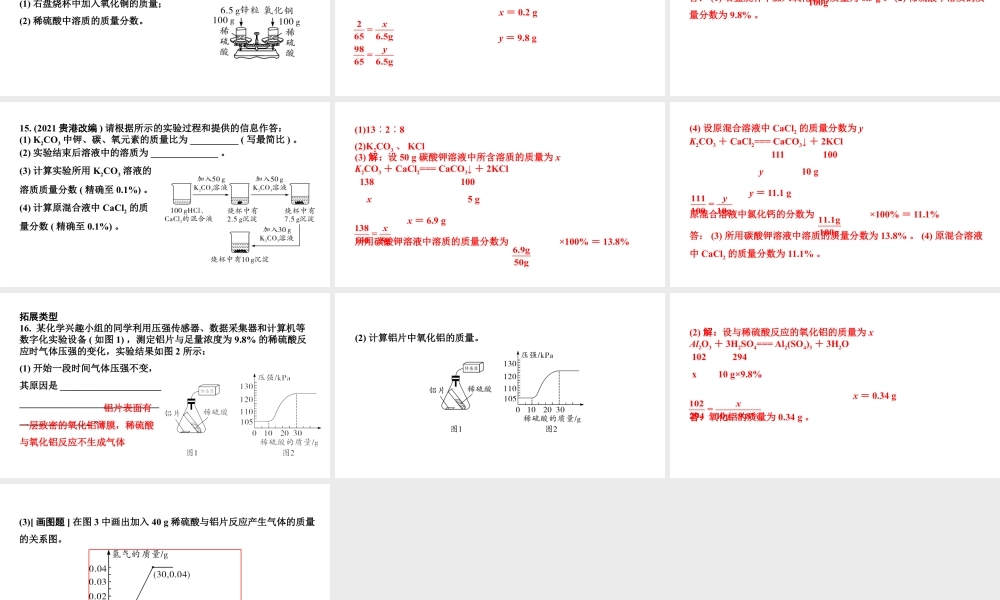 2024湖南中考化学二轮专题复习 专题八 化学计算(课件).pptx