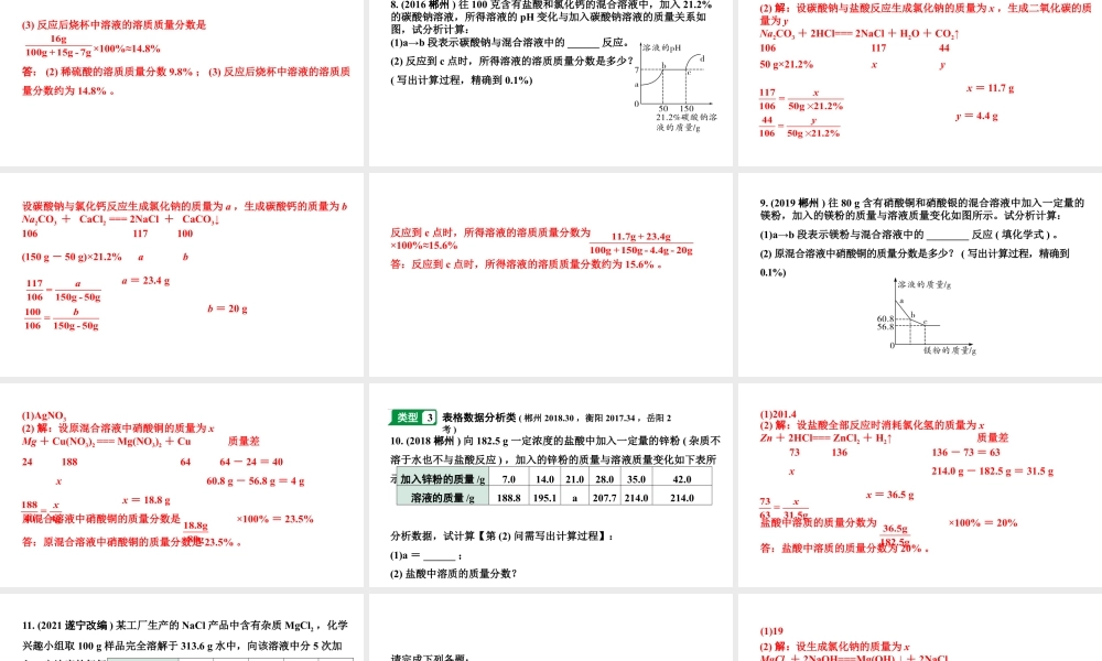 2024湖南中考化学二轮专题复习 专题八 化学计算(课件).pptx