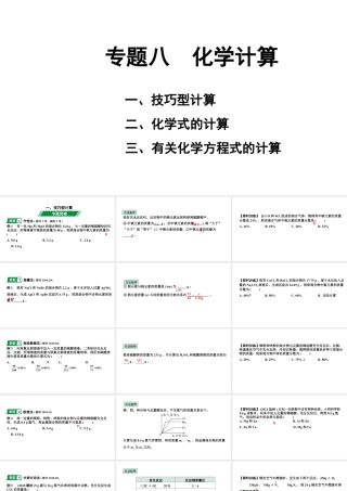 2024湖南中考化学二轮专题复习 专题八 化学计算（课件）.pptx