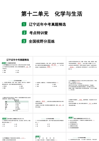 2024辽宁中考化学二轮重点专题研究 第十二单元  化学与生活（课件）.pptx