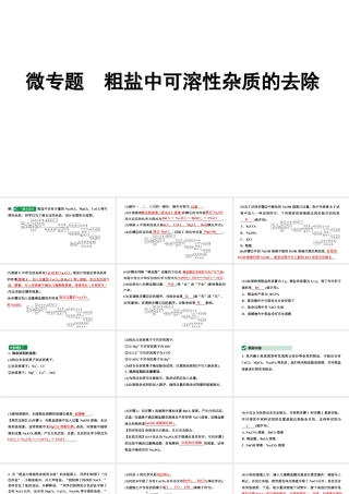 2024辽宁中考化学二轮重点专题研究 微专题 粗盐中可溶性杂质的去除（课件）.pptx