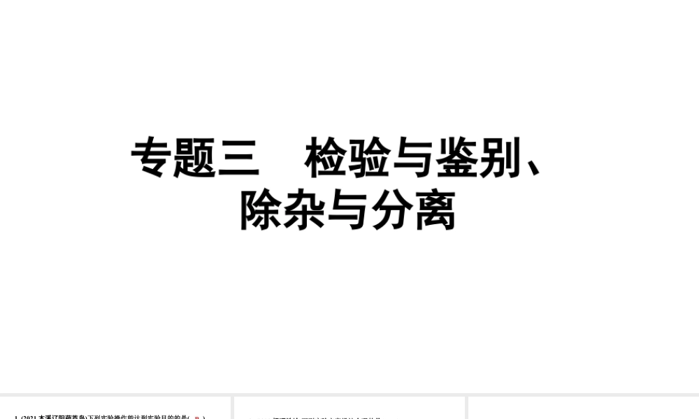 2024辽宁中考化学二轮重点专题研究 专题三  检验与鉴别、除杂与分离（课件）.pptx