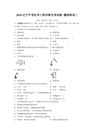 2024辽宁中考化学三轮冲刺专项训练 题组特训二（含答案）.docx
