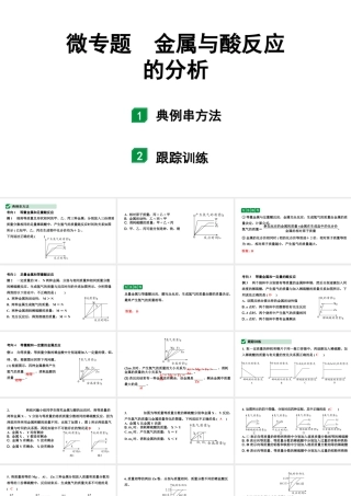 2024宁夏中考化学二轮重点专题突破 微专题 金属与酸反应的分析（课件）.pptx
