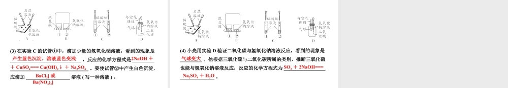 2024宁夏中考化学二轮重点专题突破 微专题 酸碱盐的化学性质 复分解反应(课件).ppt