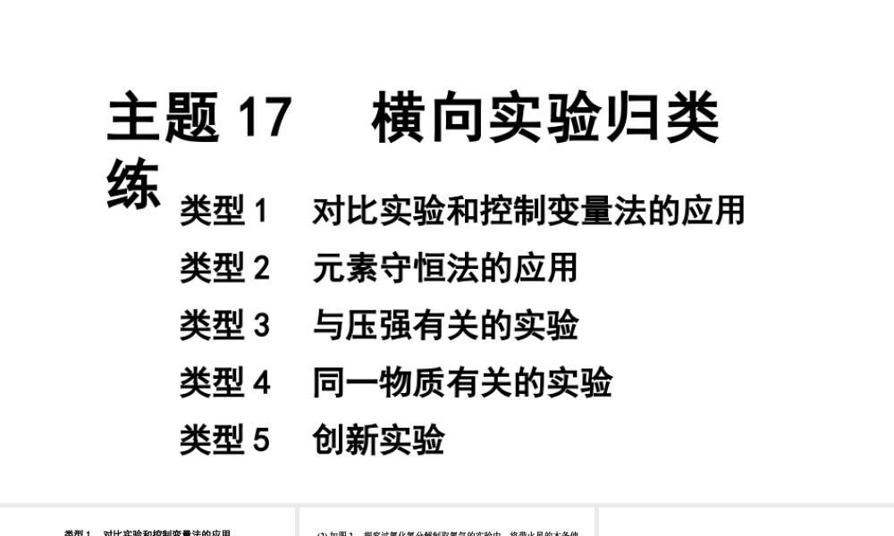2024宁夏中考化学二轮重点专题突破 主题17 横向实验归类练(课件).pptx