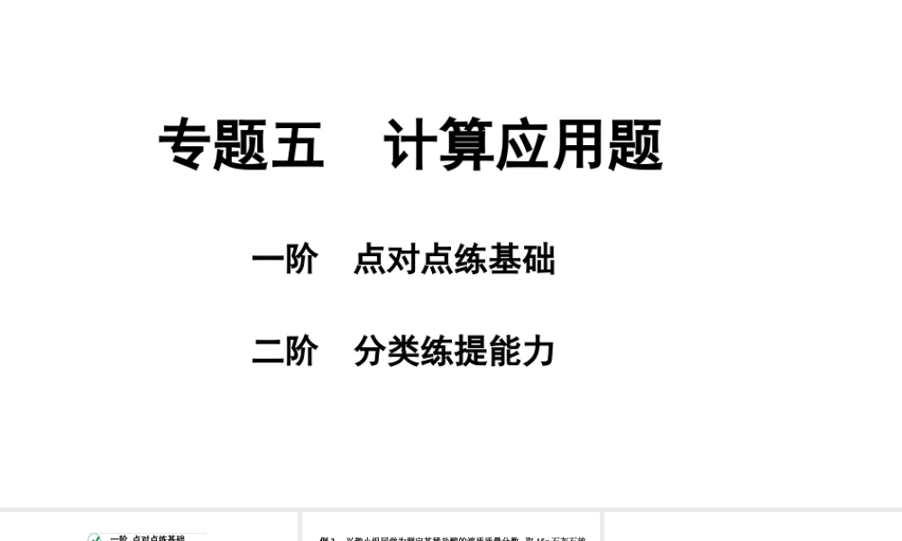 2024宁夏中考化学二轮重点专题突破 专题五 计算应用题（课件）.pptx