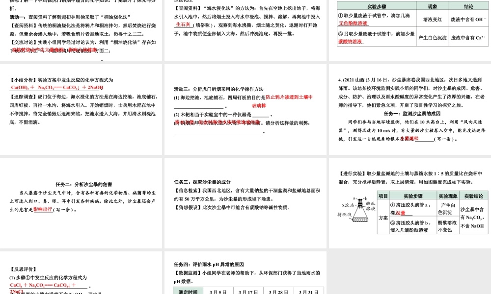 2024宁夏中考化学三轮冲刺全国视野 推荐题型 题型二 项目性探究（课件）.pptx