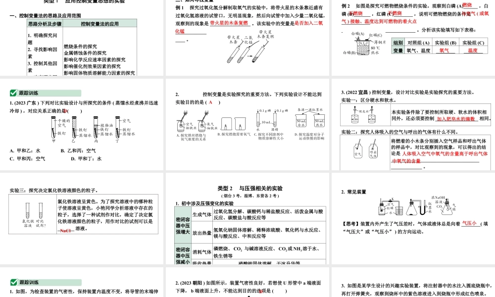 2024山东中考化学二轮中考考点研究 专题一 横向实验归类练 (课件).pptx