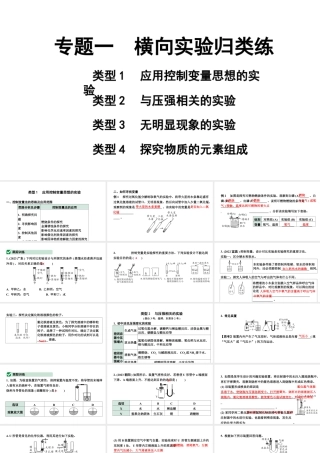 2024山东中考化学二轮中考考点研究 专题一 横向实验归类练 （课件）.pptx