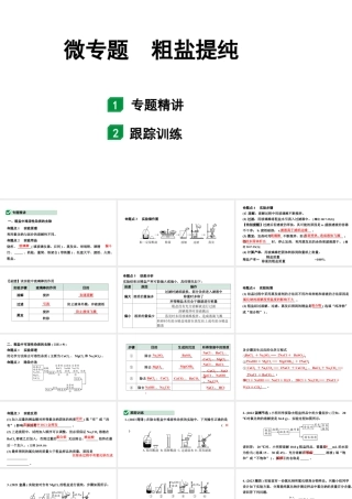 2024山东中考化学二轮专题复习 微专题 粗盐提纯（课件）.pptx