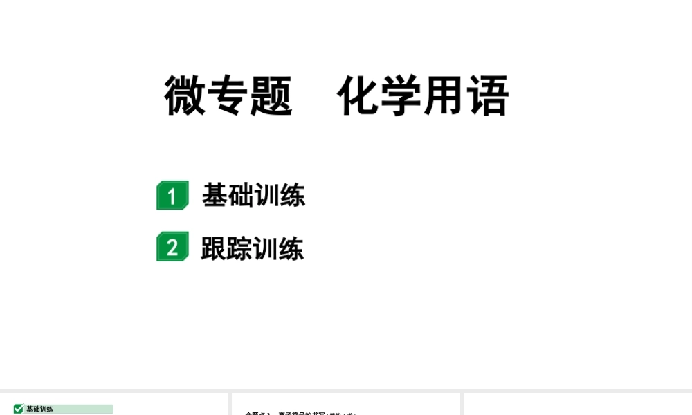 2024山东中考化学二轮专题复习 微专题 化学用语（课件）.pptx