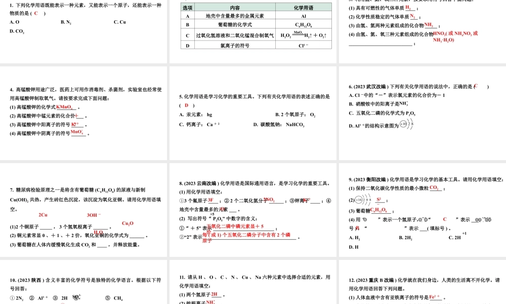 2024山东中考化学二轮专题复习 微专题 化学用语（课件）.pptx