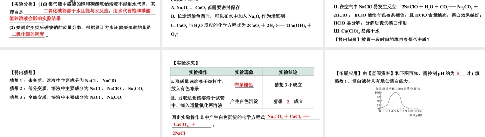 2024山东中考化学二轮专题复习 微专题 碱质变的探究（课件）.pptx
