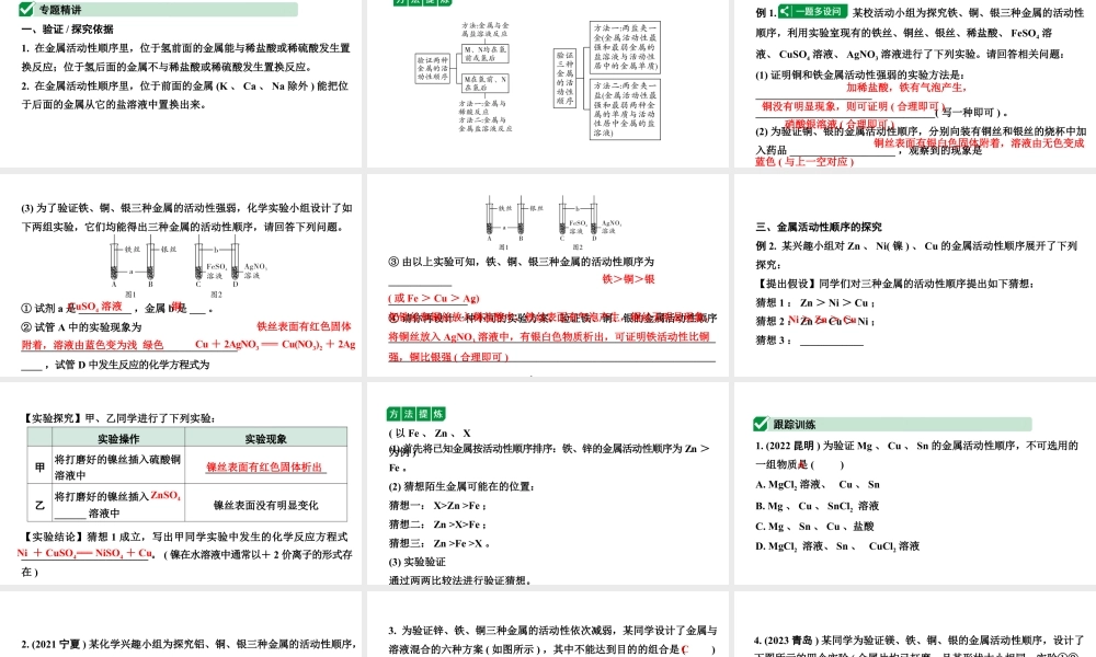 2024山东中考化学二轮专题复习 微专题 金属活动性顺序的验证及探究（课件）.pptx