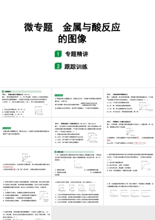2024山东中考化学二轮专题复习 微专题 金属与酸反应的图像（课件）.pptx