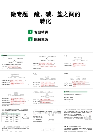 2024山东中考化学二轮专题复习 微专题 酸、碱、盐之间的转化（课件）.pptx
