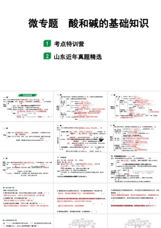 2024山东中考化学二轮专题复习 微专题 酸和碱的基础知识（课件）.pptx