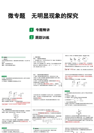 2024山东中考化学二轮专题复习 微专题 无明显现象的探究（课件）.pptx